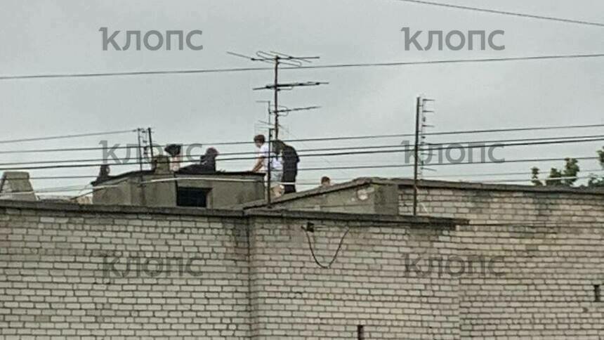 «Бегали, делали селфи и толкались»: в Калининграде детей заметили на крыше многоэтажного дома (фото) - Новости Калининграда | Фото: «Клопс»