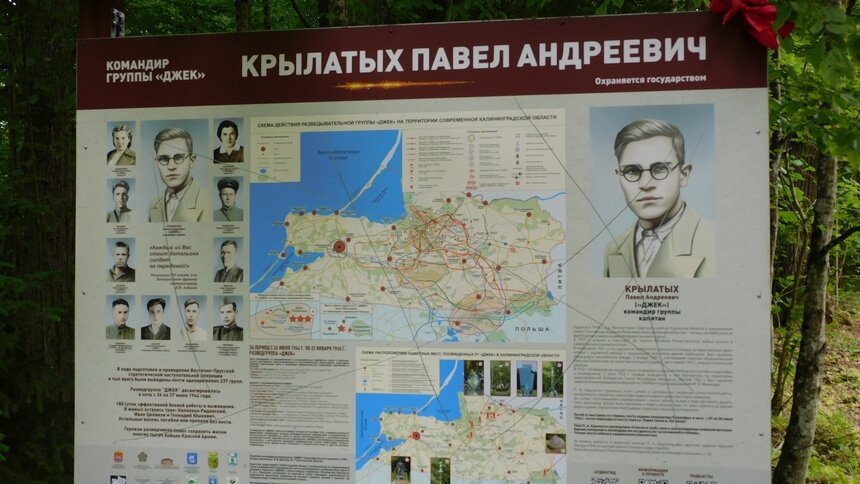«Какой-то моральный урод»: в Славском районе неизвестный изрезал ножом стенд, посвящённый советским разведчикам (фото) - Новости Калининграда | Фото: страница ГБУК «НПЦ по охране памятников» «ВКонтакте»