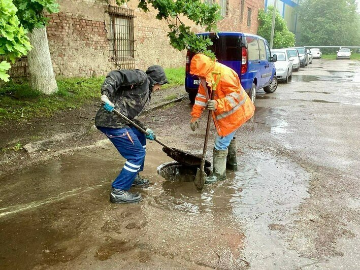 Лужи, забитые ливнёвки и рухнувшие деревья: последствия шквала в Калининграде в понедельник, 23 июня   - Новости Калининграда | Фото: администрация Калининграда