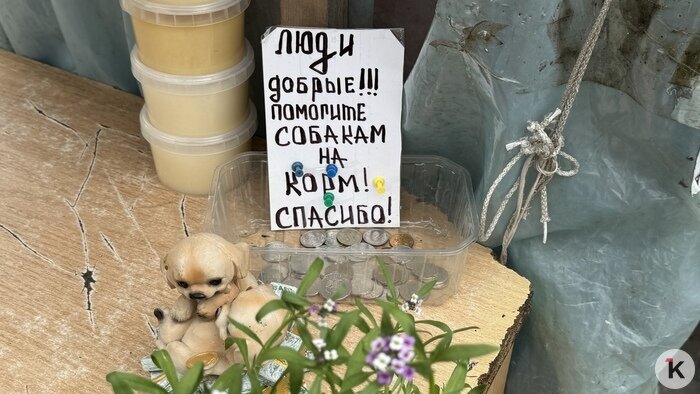 Теперь работает по найму: хозяйка овощной палатки с Северного вокзала продала «бизнес» - Новости Калининграда | Фото: «Клопс»