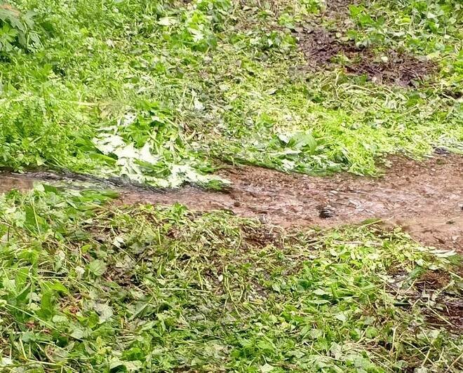 В заповедном Краснолесье неизвестные с ветерком прокатились на квадроциклах: ездоков ищут всем нацпарком (фото) - Новости Калининграда | Фото: телеграм-канал Виштынецкого национального парка