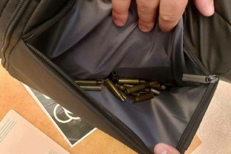 Житель Чебоксар пытался пронести в Эрмитаж 21 гильзу и боевой патрон - Новости Калининграда | Фото: Росгвардия