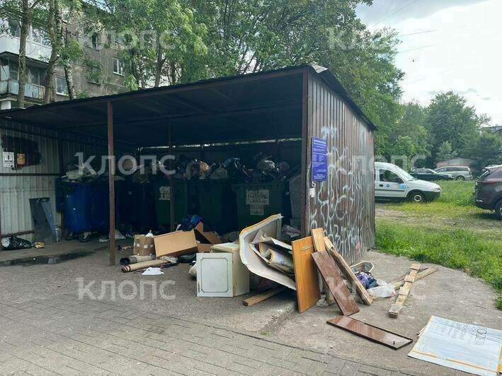 «Приближение к свалке опасно для жизни»: каким улицам Калининграда давно требуется уборка (фото, видео)   - Новости Калининграда | Фото: Светлана