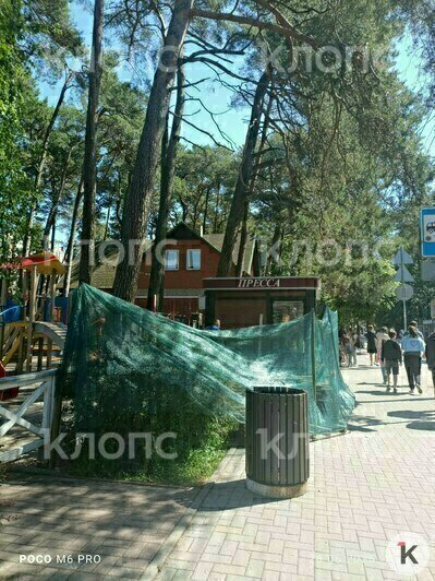 Ни табло, ни навеса: в Светлогорске разобрали автобусную остановку (фото)   - Новости Калининграда | Фото: «Клопс»