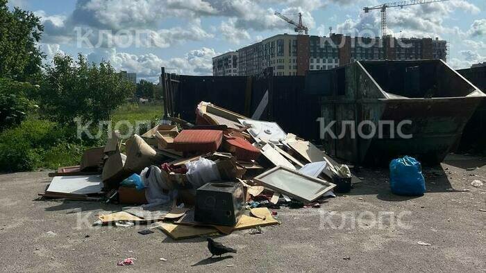 «Приближение к свалке опасно для жизни»: каким улицам Калининграда давно требуется уборка (фото, видео)   - Новости Калининграда | Фото: Светлана