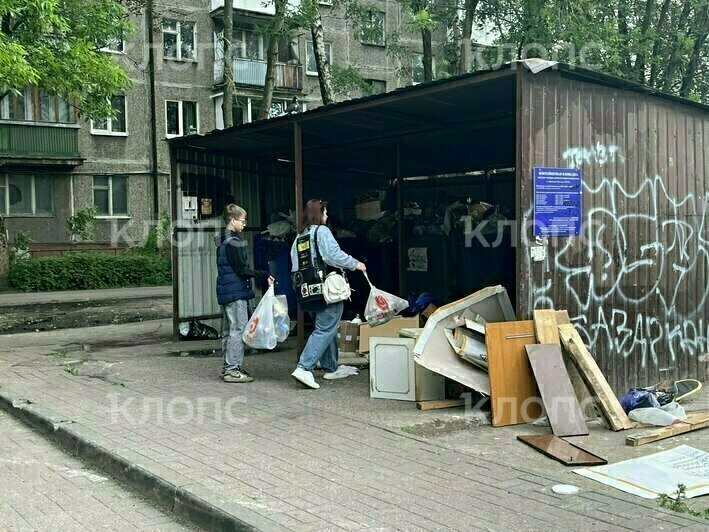 «Приближение к свалке опасно для жизни»: каким улицам Калининграда давно требуется уборка (фото, видео)   - Новости Калининграда | Фото: Светлана