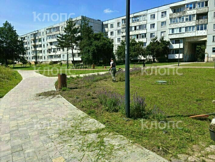 «Ещё вчера была трава по пояс»: в Калининграде к визиту губернатора спешно чистят заброшенные территории (фото, видео) - Новости Калининграда