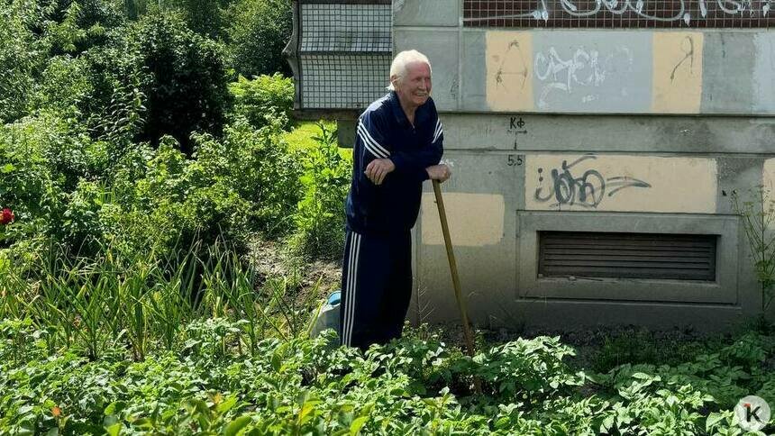 «Живём по ценам для туристов»: калининградцы начали выращивать картофель под окнами многоэтажек (видео) - Новости Калининграда | Фото: «Клопс»