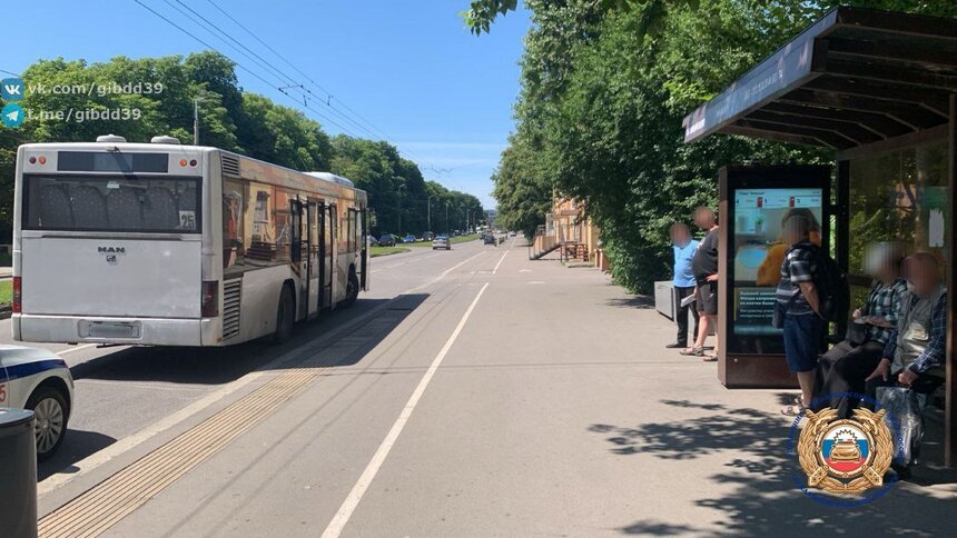 На проспекте Калинина пенсионерка вышла из автобуса и упала, водитель этого не заметил и проехался по её ноге - Новости Калининграда | Фото: ГАИ Калининградской области 