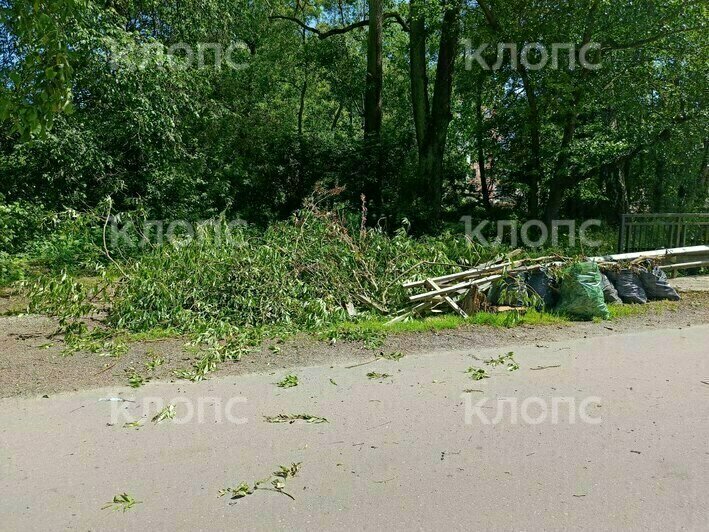 «Ещё вчера была трава по пояс»: в Калининграде к визиту губернатора спешно чистят заброшенные территории (фото, видео) - Новости Калининграда