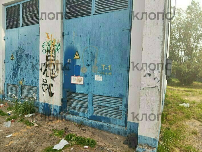 «Приближение к свалке опасно для жизни»: каким улицам Калининграда давно требуется уборка (фото, видео)   - Новости Калининграда | Фото: Лев