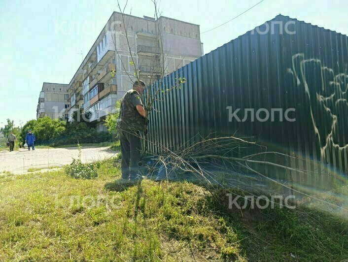 «Ещё вчера была трава по пояс»: в Калининграде к визиту губернатора спешно чистят заброшенные территории (фото, видео) - Новости Калининграда