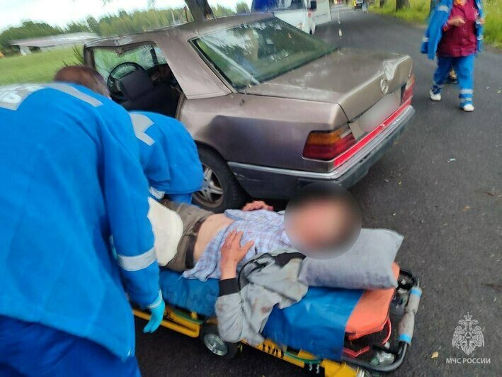 Около Балтийска водитель легковушки врезался в придорожное дерево, пассажирка погибла на месте (фото) - Новости Калининграда | Фото: ГУ МЧС по Калининградской области