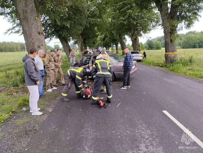 Около Балтийска водитель легковушки врезался в придорожное дерево, пассажирка погибла на месте (фото) - Новости Калининграда | Фото: ГУ МЧС по Калининградской области