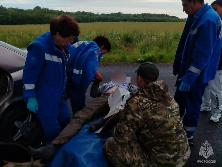 Около Балтийска водитель легковушки врезался в придорожное дерево, пассажирка погибла на месте (фото) - Новости Калининграда | Фото: ГУ МЧС по Калининградской области
