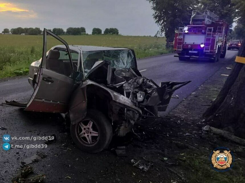 Около Балтийска водитель легковушки врезался в придорожное дерево, пассажирка погибла на месте (фото) - Новости Калининграда | Фото: Госавтоинспекция Калининградской области