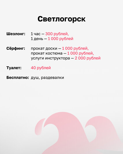 Сколько стоят лежаки и зонты: обзор цен на пяти морских пляжах Калининградской области (фото, видео)   - Новости Калининграда | Иллюстрация: Алиса Игонина / «Клопс»