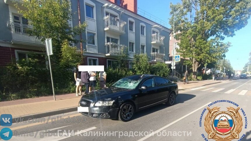 Велосипедист, которого легковушка сбила на Катина, скончался в больнице  - Новости Калининграда | Фото: ГАИ Калининградской области 