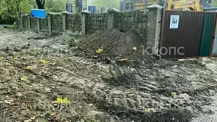 Что случилось в Калининградской области: главное на 30 июня - Новости Калининграда | Фото: «Клопс»