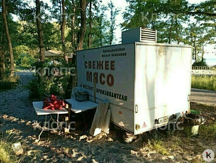 Мусор, грязная палета и две туши мяса: калининградцев возмутили торговые палатки, которые появились в Куликово (фото) - Новости Калининграда | Фото: очевидец