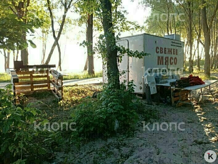 Мусор, грязная палета и две туши мяса: калининградцев возмутили торговые палатки, которые появились в Куликово (фото) - Новости Калининграда | Фото: очевидец