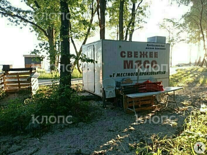 Мусор, грязная палета и две туши мяса: калининградцев возмутили торговые палатки, которые появились в Куликово (фото) - Новости Калининграда | Фото: очевидец