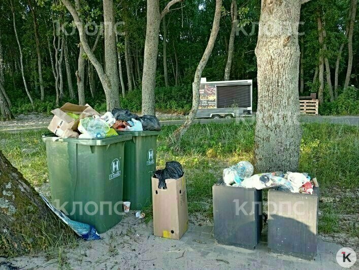 Мусор, грязная палета и две туши мяса: калининградцев возмутили торговые палатки, которые появились в Куликово (фото) - Новости Калининграда | Фото: очевидец