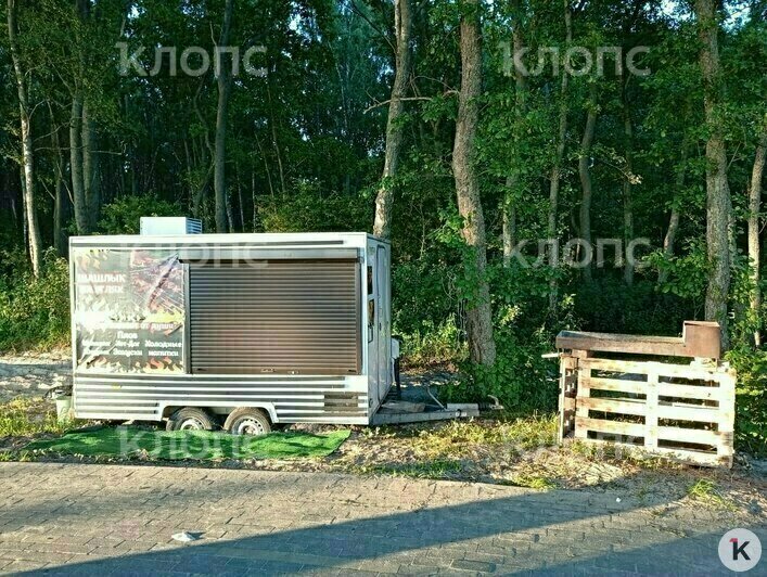 Мусор, грязная палета и две туши мяса: калининградцев возмутили торговые палатки, которые появились в Куликово (фото) - Новости Калининграда | Фото: очевидец