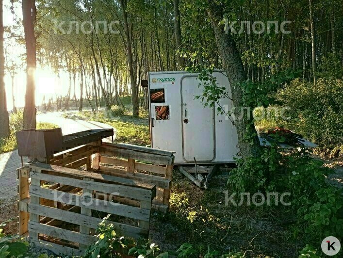 Мусор, грязная палета и две туши мяса: калининградцев возмутили торговые палатки, которые появились в Куликово (фото) - Новости Калининграда | Фото: очевидец
