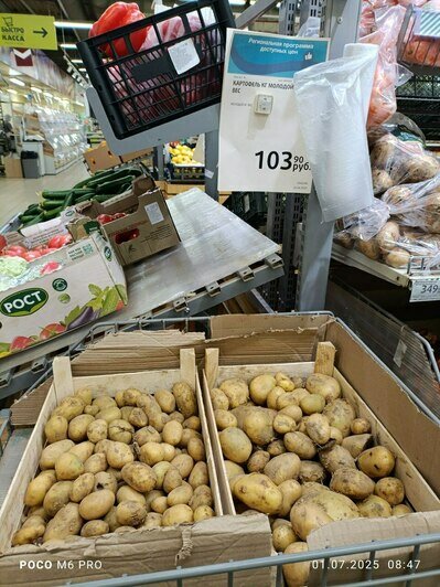 Цены на продукты в Калининграде: что подорожало к июлю - Новости Калининграда | Фото: «Клопс»
