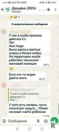 Место происшествия  | Фото: очевидцы, скриншот из чата СНТ