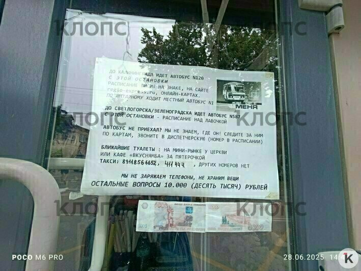 «Телефоны не заряжаем, вещи оставить нельзя»: в Янтарном у туристов клянчат деньги за ответы на вопросы   - Новости Калининграда | Фото: «Клопс»