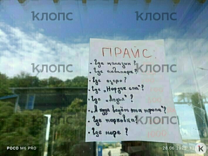«Телефоны не заряжаем, вещи оставить нельзя»: в Янтарном у туристов клянчат деньги за ответы на вопросы   - Новости Калининграда | Фото: «Клопс»