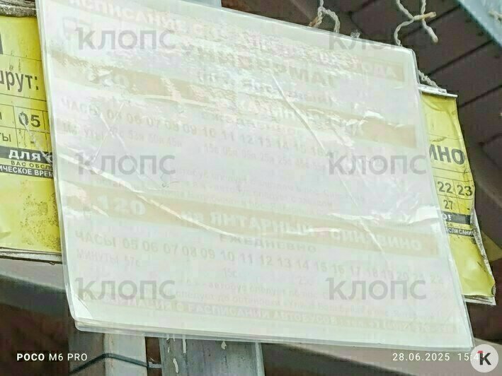 Так выглядит актуальное расписание автобуса до Калининграда | Фото: «Клопс»