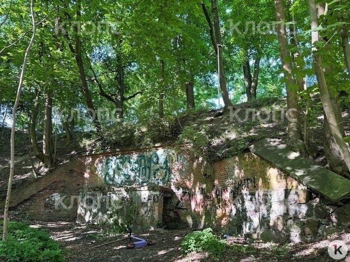 Место, где произошёл несчастный случай  | Фото: Александр Подгорчук / «Клопс»