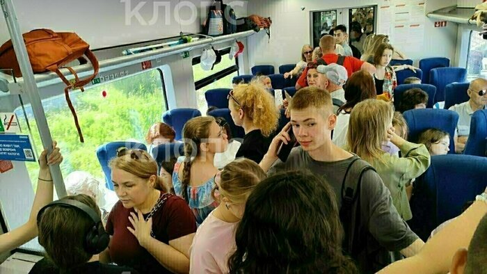 Что случилось в Калининградской области: главное на 2 июля - Новости Калининграда | Фото: «Клопс»