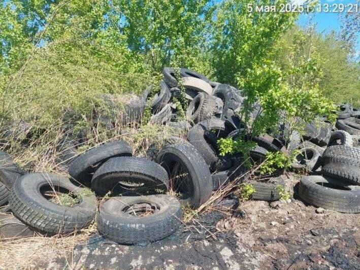 Калининградский вагоностроительный завод оштрафовали на 30 тысяч рублей за свалку на одноимённой улице - Новости Калининграда | Фото: прокуратура Калининградской области 