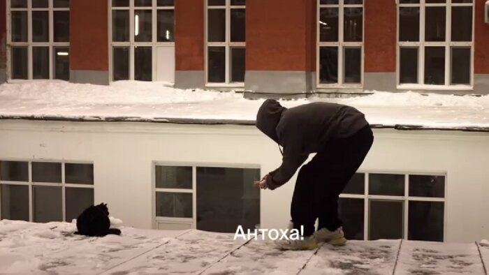 Гангстеры, секс и Юра Борисов: семь свежих сериалов, которые помогут отвлечься от скучных будней - Новости Калининграда | Кадр из сериала «Урок»