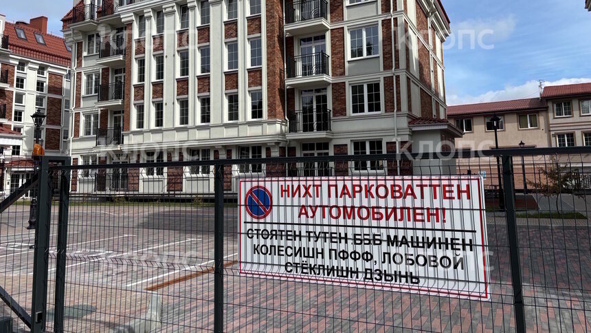 «Лобовой стёклишн дзынь»: калининградцы отпугивают автохамов, применив творческий подход (фото) - Новости Калининграда | Фото: Александр Подгорчук / «Клопс»