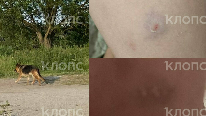 Что случилось в Калининградской области: главное на 9 июля - Новости Калининграда | Фото: «Клопс»