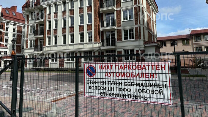 Что случилось в Калининградской области: главное на 9 июля - Новости Калининграда | Фото: Александр Подгорчук / «Клопс»