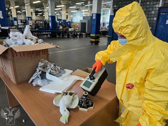 Опасный сувенир: в посылке из Германии таможенники нашли радиоактивную статуэтку попугая - Новости Калининграда | Фото: ФТС России