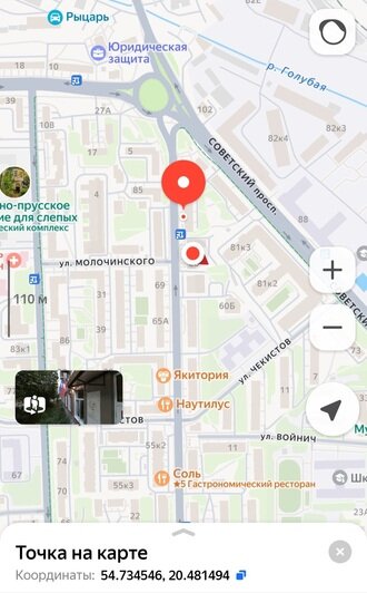 «Наверное, ждут, когда ветка свалится на голову ребёнка»: хит-парад потенциальных деревьев-убийц в Калининграде, часть 1   - Новости Калининграда | Фото: очевидцы