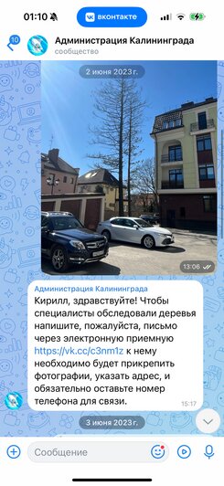 «Наверное, ждут, когда ветка свалится на голову ребёнка»: хит-парад потенциальных деревьев-убийц в Калининграде, часть 1   - Новости Калининграда | Фото: очевидцы