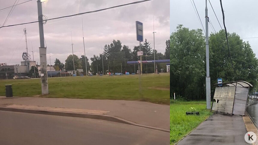 На проспекте Победы сдуло остановку — новый павильон мэрия обещает, но не сразу (фото) - Новости Калининграда | Фото: «Клопс»