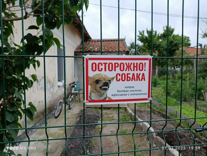 Холодное лето на Куршской косе: сколько стоит отдых и есть ли места   - Новости Калининграда | Фото: «Клопс»