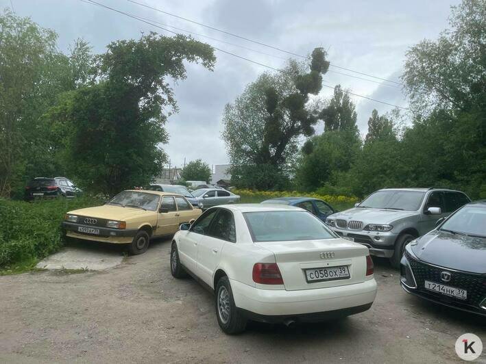 Сначала вырубили деревья, потом сделали парковку платной: жители Калязинской возмущены нашествием машин   - Новости Калининграда | Фото читателя