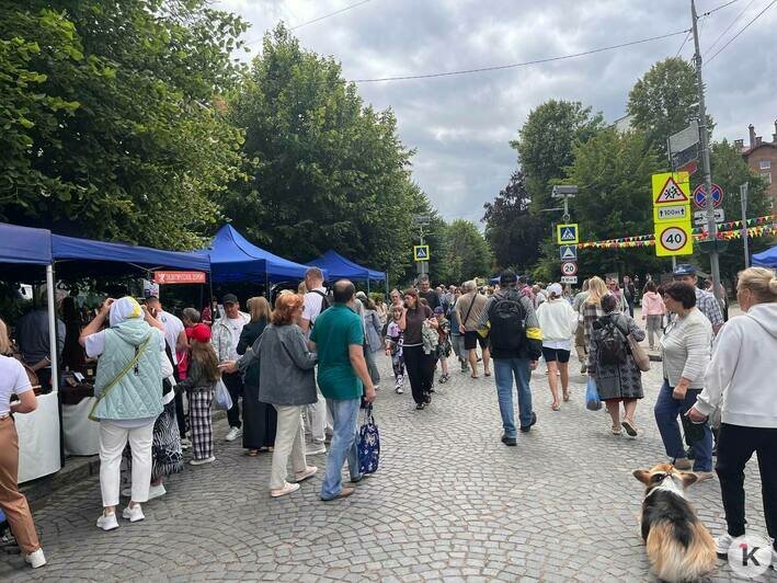 У людей сдают нервы: очередь за бесплатной ухой в День рыбака в Пионерском растянулась на полкилометра   - Новости Калининграда | Фото: «Клопс»