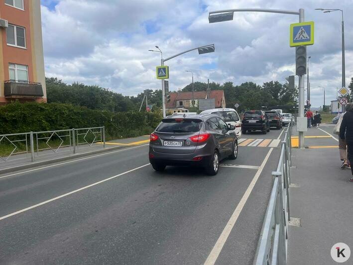 У людей сдают нервы: очередь за бесплатной ухой в День рыбака в Пионерском растянулась на полкилометра   - Новости Калининграда | Фото: «Клопс»