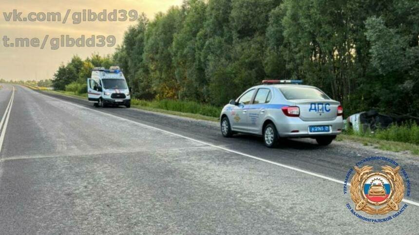 На Южном обходе Калининграда легковушка сбила косулю, а затем съехала в придорожный кювет   - Новости Калининграда | Фото: Госавтоинспекция Калининградской области